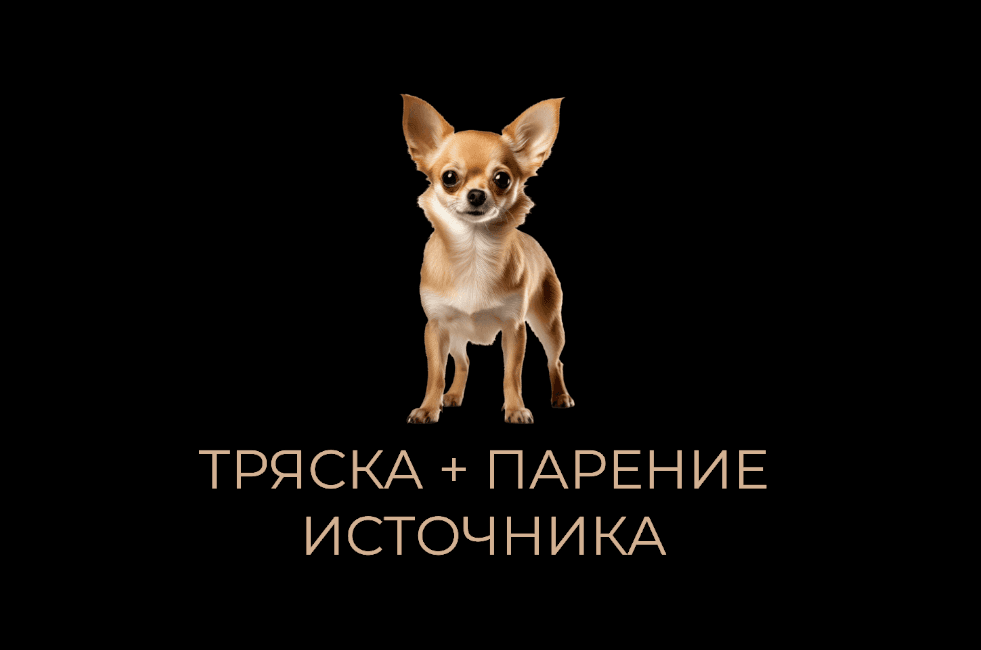 Тряска и парение источника
