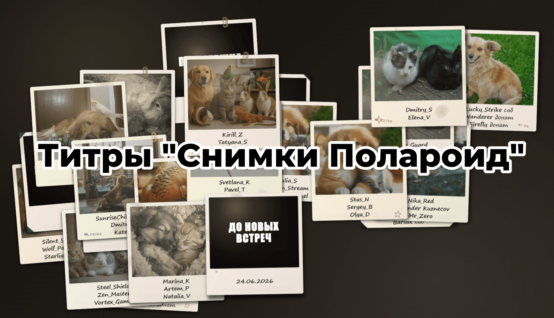 Титры "Снимки Полароид"